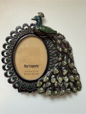 Pier one peacock frame